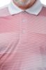 Picture of Bertie Bowls Shirt